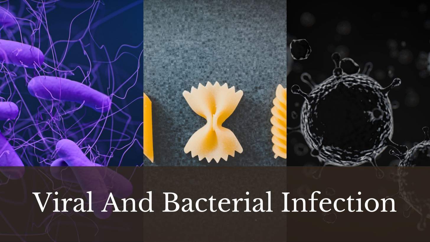 Difference Between A Viral And Bacterial Infection