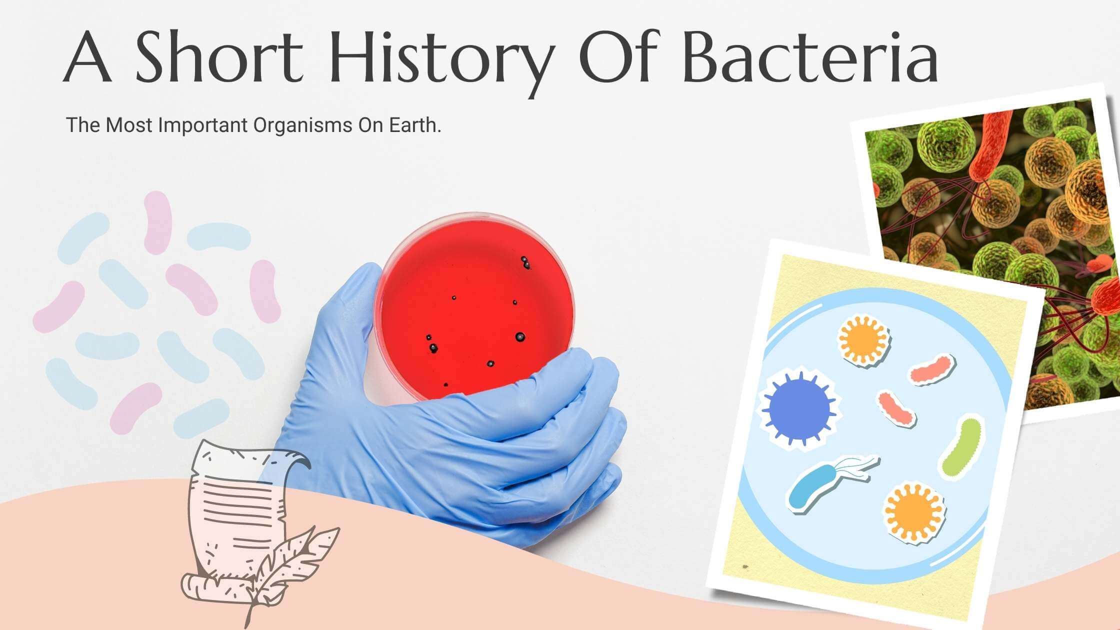 A Short History Of Bacteria, The Most Important Organisms On Earth.