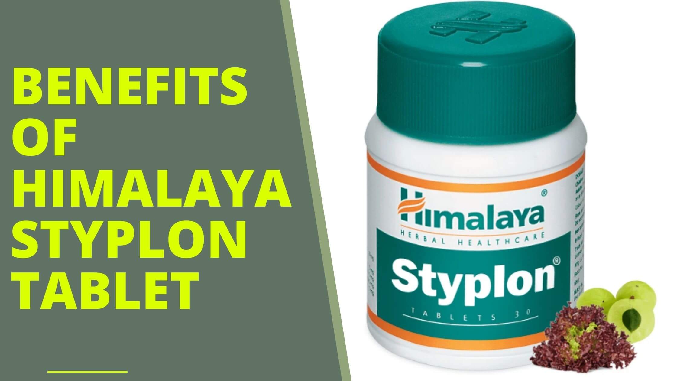 Himalaya Styplon Tablet