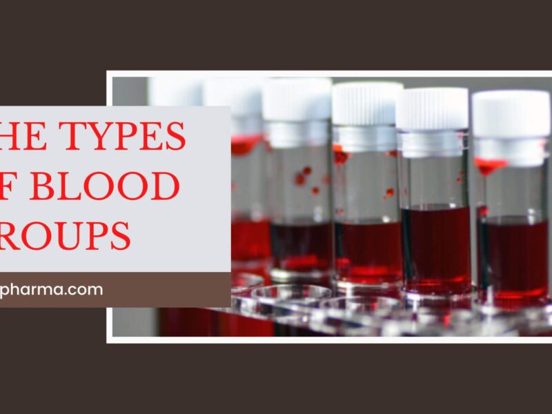 Types Of Blood Groups